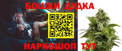стаф Кимры