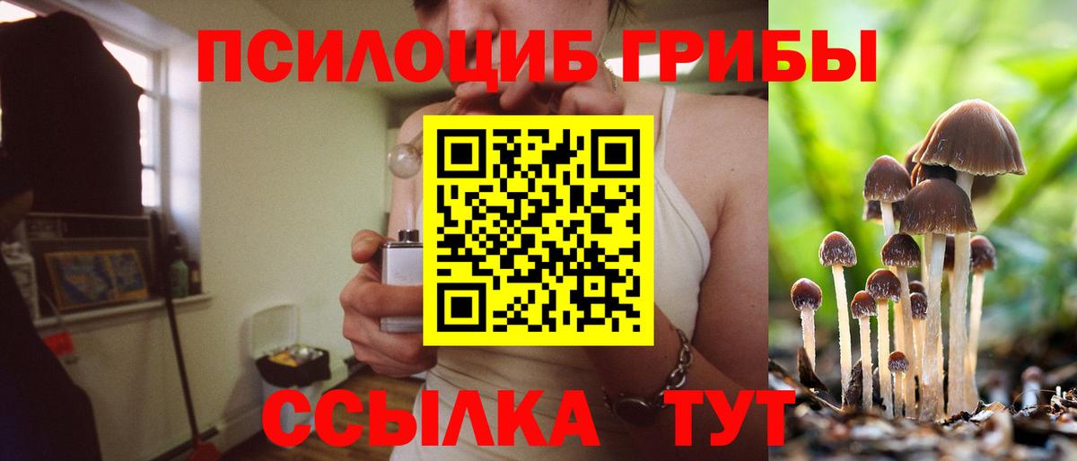 Кириши  Галлюциногенные грибы MAGIC MUSHROOMS  Вход с VPN 